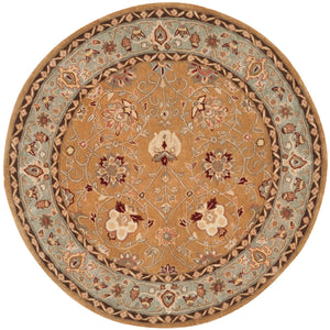 Safavieh Total TLP712 Hand Hooked Rug