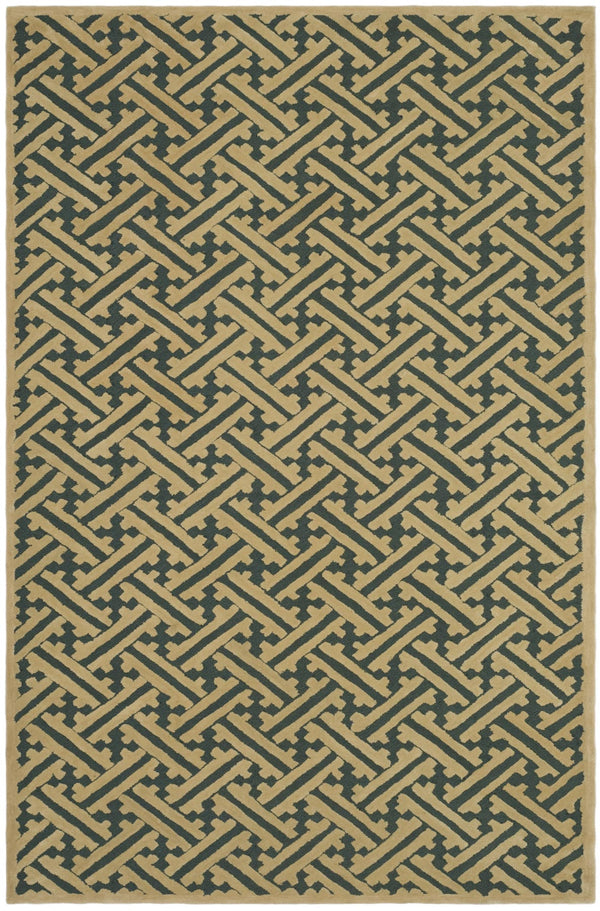 Safavieh Total TLP716 Rug