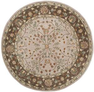 Safavieh Total TLP722 Rug