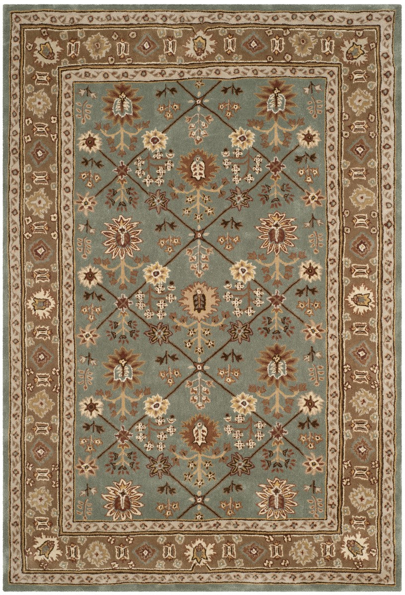 Safavieh Total TLP723 Hand Hooked Rug