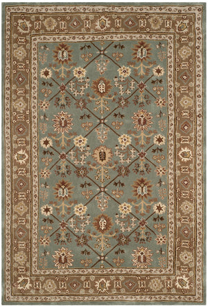 Safavieh Total TLP723 Hand Hooked Rug