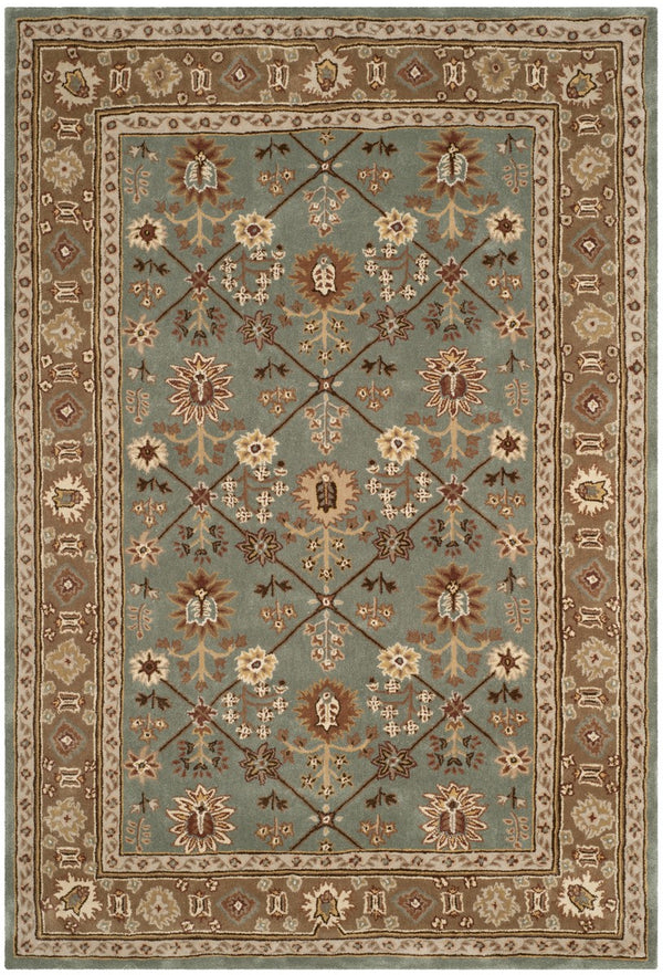 Safavieh Total TLP723 Hand Hooked Rug