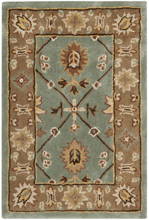 Safavieh Total TLP723 Hand Hooked Rug