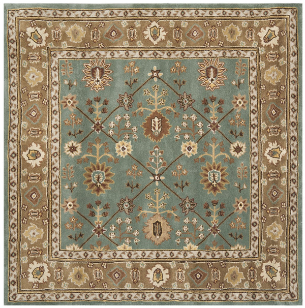 Safavieh Total TLP723 Hand Hooked Rug