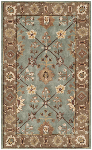 Safavieh Total TLP723 Hand Hooked Rug