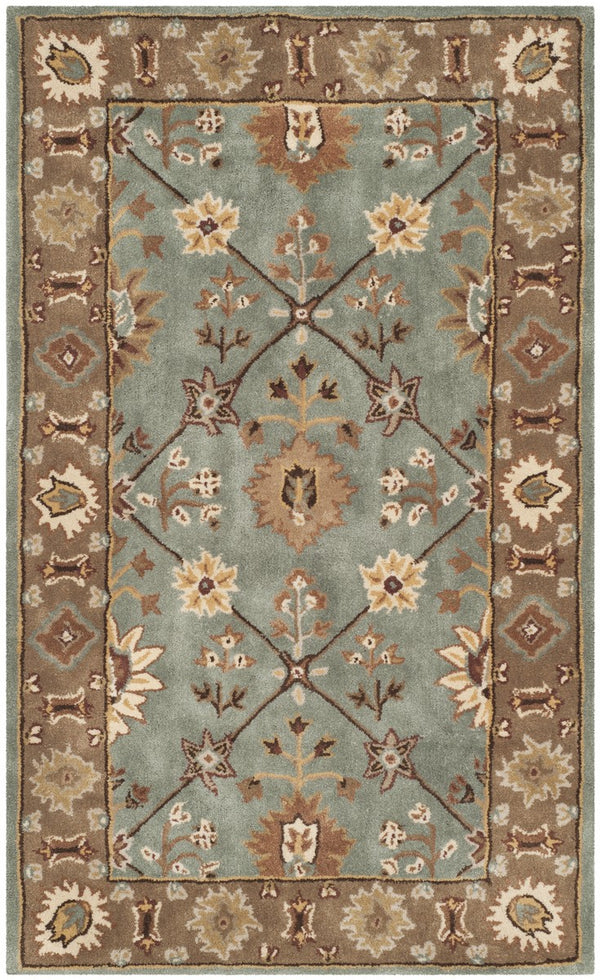 Safavieh Total TLP723 Hand Hooked Rug