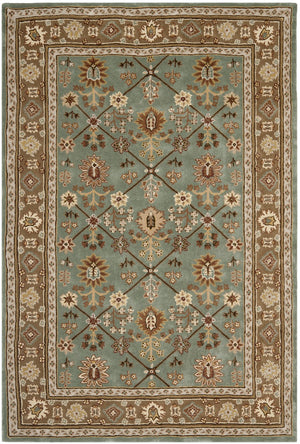 Safavieh Total TLP723 Hand Hooked Rug