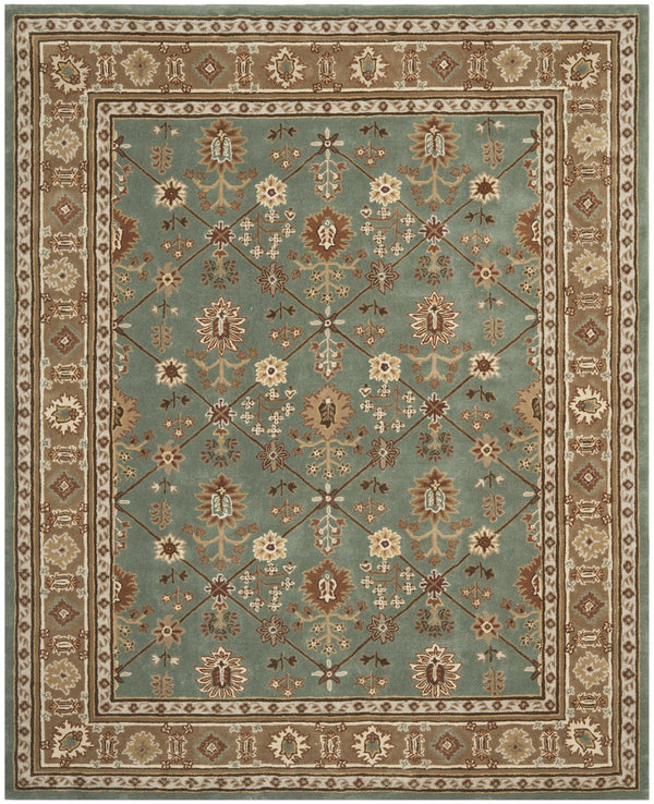 Safavieh Total TLP723 Hand Hooked Rug