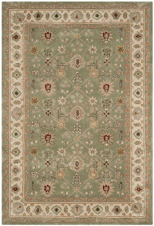 Safavieh Total TLP723 Hand Hooked Rug