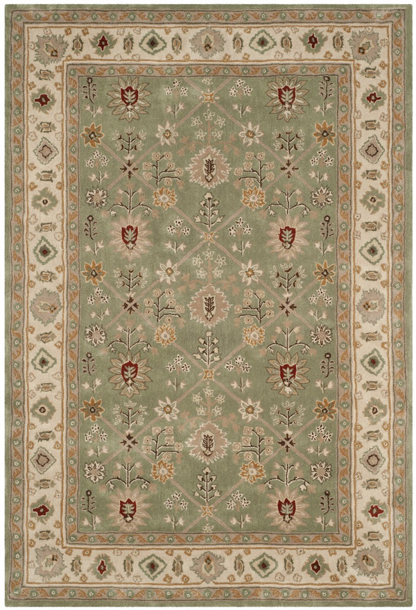Safavieh Total TLP723 Hand Hooked Rug