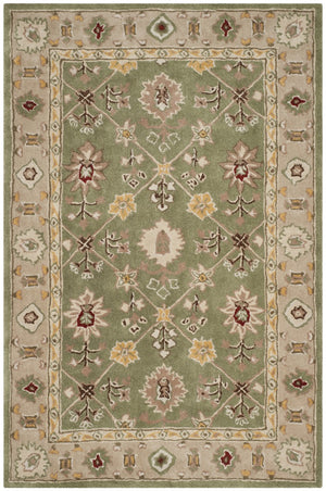 Safavieh Total TLP723 Hand Hooked Rug