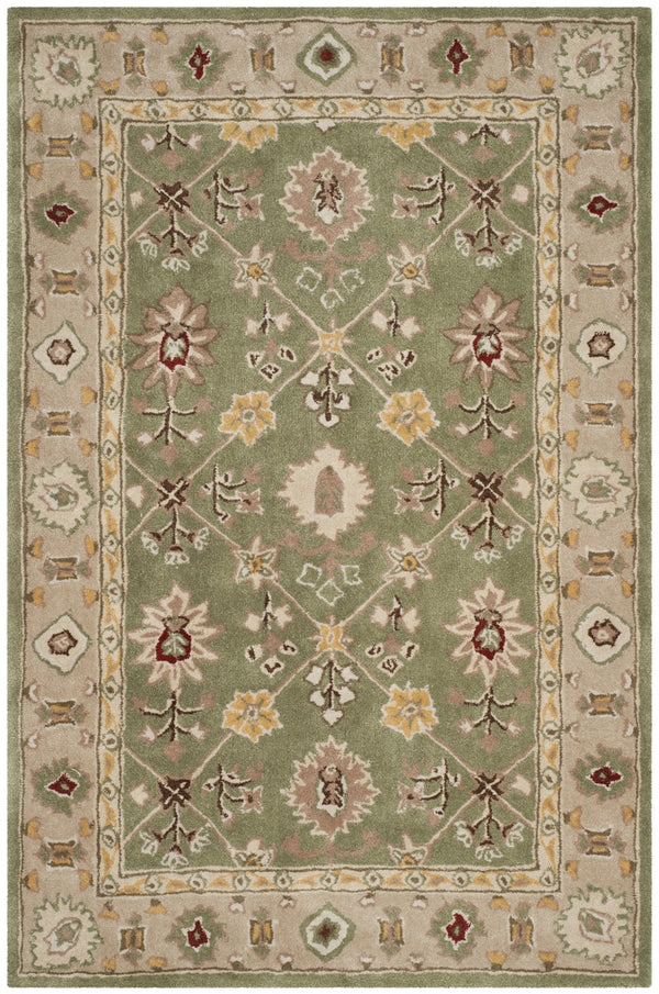 Safavieh Total TLP723 Hand Hooked Rug