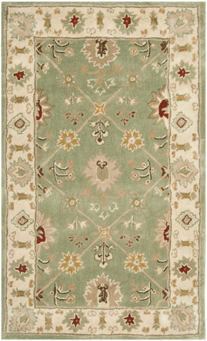 Safavieh Total TLP723 Hand Hooked Rug