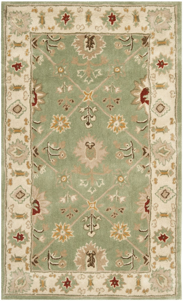 Safavieh Total TLP723 Hand Hooked Rug