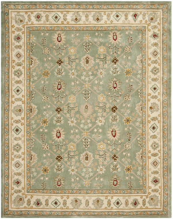 Safavieh Total TLP723 Hand Hooked Rug