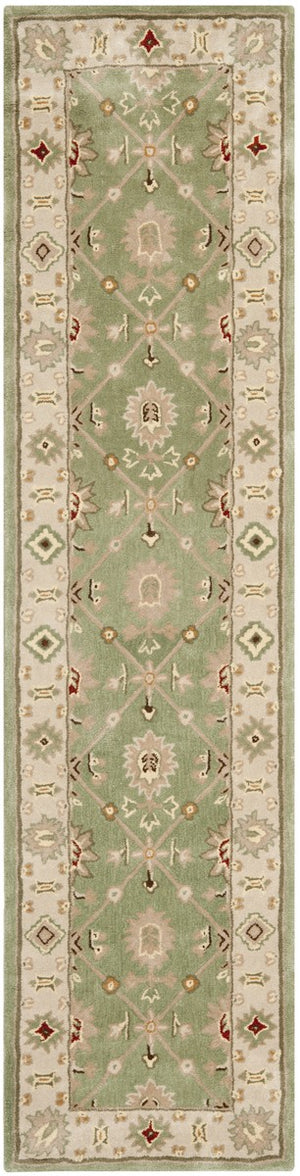 Safavieh Total TLP723 Hand Hooked Rug