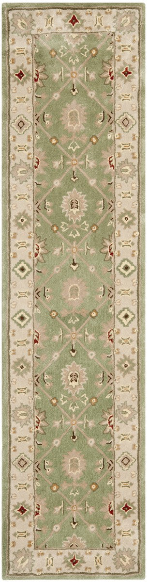 Safavieh Total TLP723 Hand Hooked Rug