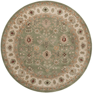 Safavieh Total TLP723 Hand Hooked Rug