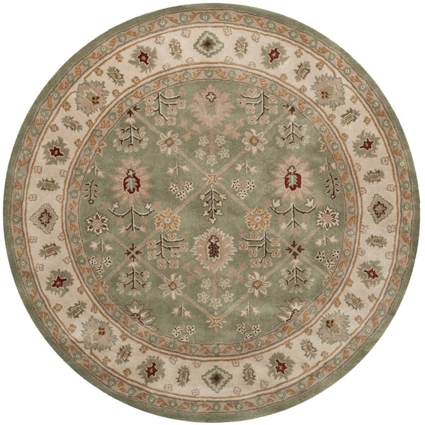 Safavieh Total TLP723 Hand Hooked Rug