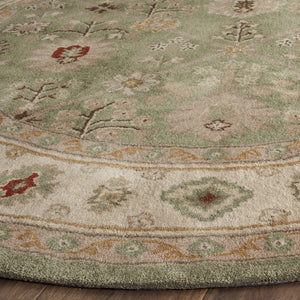 Safavieh Total TLP723 Hand Hooked Rug