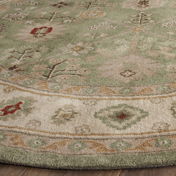 Safavieh Total TLP723 Hand Hooked Rug