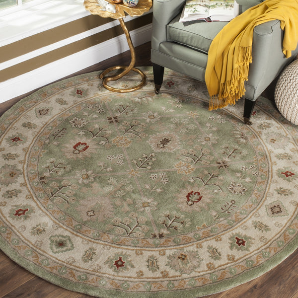 Safavieh Total TLP723 Hand Hooked Rug