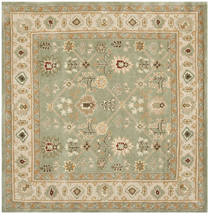 Safavieh Total TLP723 Hand Hooked Rug