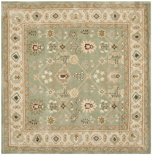 Safavieh Total TLP723 Hand Hooked Rug