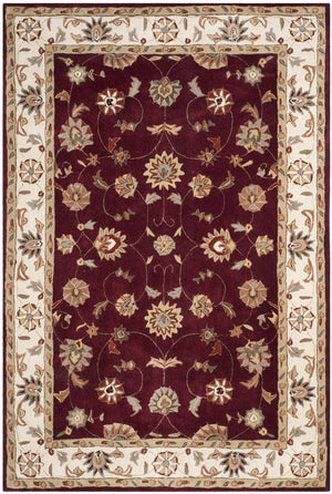 Safavieh Tlp725 Hand Hooked Poly-Arcylic Pile Rug TLP725A-3