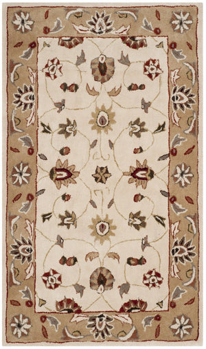Safavieh Tlp725 Hand Hooked Poly-Arcylic Pile Rug TLP725B-3
