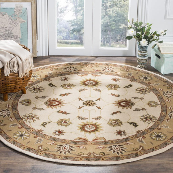 Safavieh Tlp725 Hand Hooked Poly-Arcylic Pile Rug TLP725B-3
