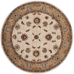 Safavieh Tlp725 Hand Hooked Poly-Arcylic Pile Rug TLP725B-3