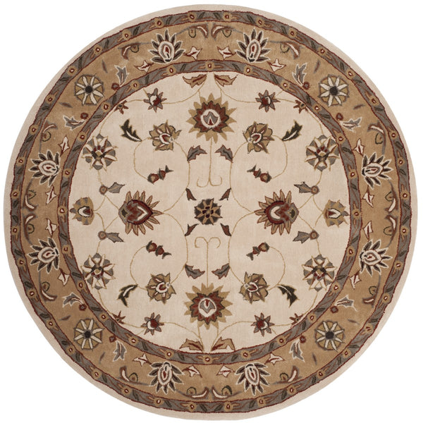 Safavieh Tlp725 Hand Hooked Poly-Arcylic Pile Rug TLP725B-3