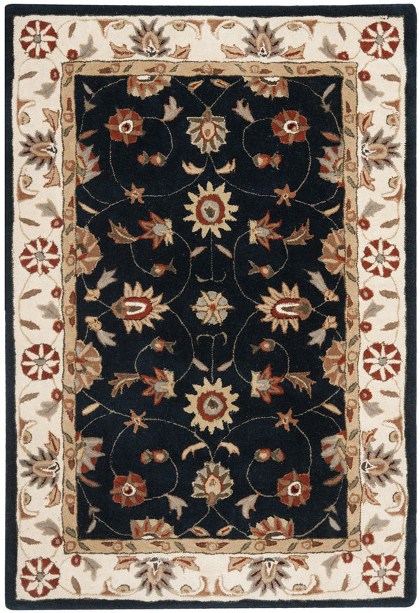 Safavieh Tlp725 Hand Hooked Poly-Arcylic Pile Rug TLP725C-3