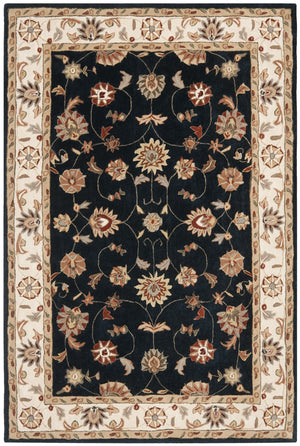 Safavieh Tlp725 Hand Hooked Poly-Arcylic Pile Rug TLP725C-3