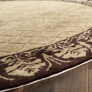 Safavieh Harrison Hand Hooked Poly-Arcylic Pile Rug TLP755B-24HM