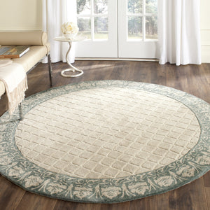 Safavieh Harrison Hand Hooked Poly-Arcylic Pile Rug TLP755E-24HM