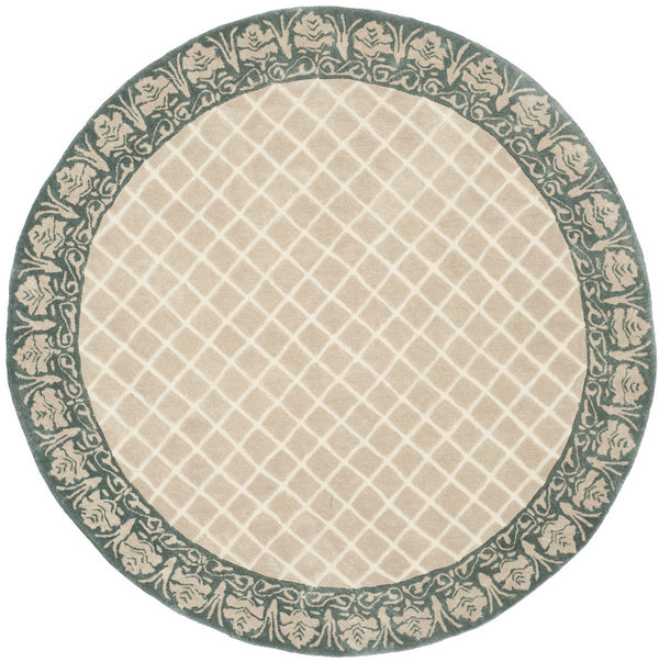 Safavieh Harrison Hand Hooked Poly-Arcylic Pile Rug TLP755E-24HM