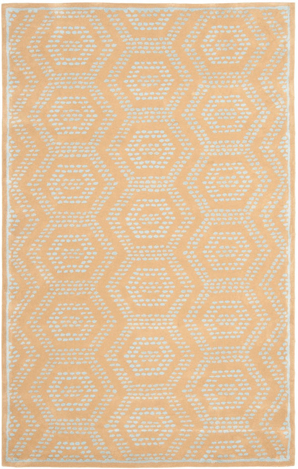 Safavieh Ast SMP52 Rug