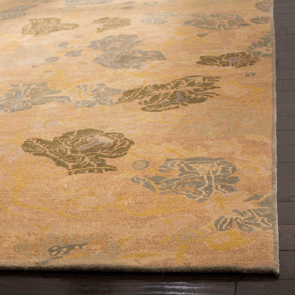 Safavieh Thomas TOB962 Rug