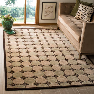 Safavieh Thomas TOB975 Rug