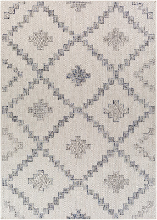 Surya Tuareg Rustic TRG-2324 Rug TRG2324-9212