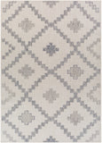 Tuareg Rustic TRG-2324 Rug