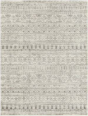 Tevazu TVZ-2379 Global Polypropylene Rug TVZ2379-912  100% Polypropylene 9' x 12'