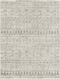 Tevazu TVZ-2379 Global Polypropylene Rug