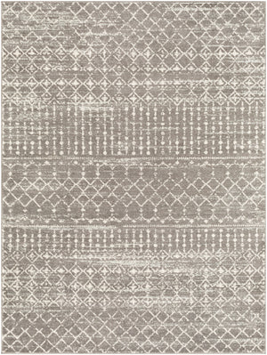 Tevazu TVZ-2380 Global Polypropylene Rug TVZ2380-912  100% Polypropylene 9' x 12'