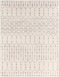 Tevazu TVZ-2382 Global Polypropylene Rug