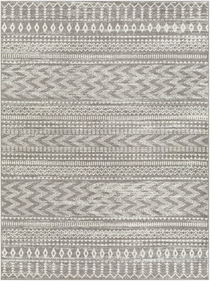 Tevazu TVZ-2384 Global Polypropylene Rug TVZ2384-912  100% Polypropylene 9' x 12'