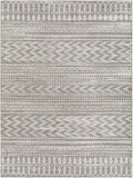 Tevazu TVZ-2384 Global Polypropylene Rug