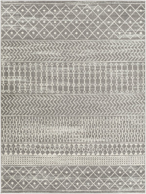 Tevazu TVZ-2387 Global Polypropylene Rug TVZ2387-912  100% Polypropylene 9' x 12'